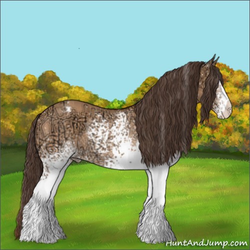 Horse Color:White Spotted Bay Ice Dun Snowflake Varnish 