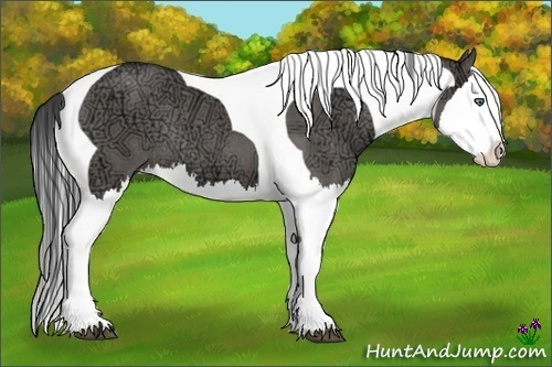 Horse Color:Grullo Ice Roan Splash Tobiano Rabicano 