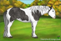 Horse Color:Grullo Ice Roan Splash Tobiano Rabicano 