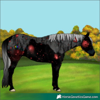 Horse Color:ERROR: UNKNOWN ANOMALY