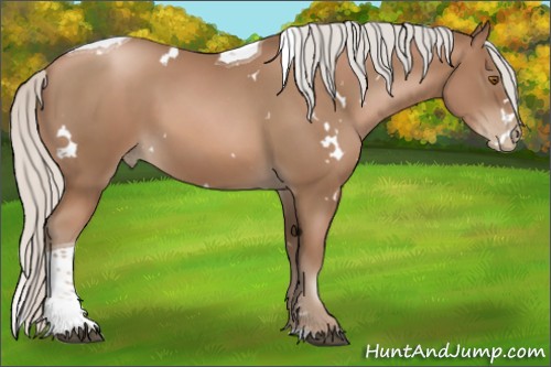 Horse Color:White Spotted Silver Black Pearl Tobiano 