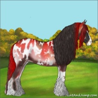 Horse Color:Liver Red Onyx Sabino Tobiano Appaloosa 