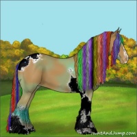 Horse Color:Painted Buckskin Sabino Tobiano Varnish 