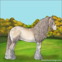 Horse Color:Chocolate Palomino Pearl Onyx Sabino Tobiano 