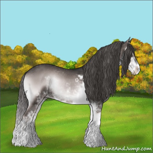 Horse Color:Platinum Liver Red Onyx Sabino Rabicano 
