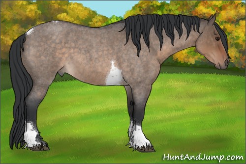 Horse Color:Brown Roan Dun Tobiano 