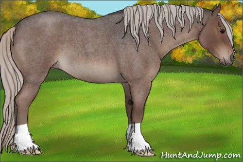 Horse Color:Silver Blue Roan 