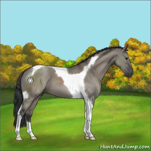 Horse Color:Grullo Tobiano 