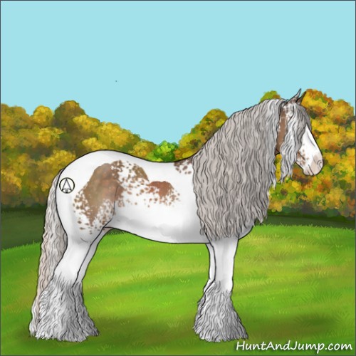Horse Color:White Spotted Silver Black Splash Tobiano Rabicano 