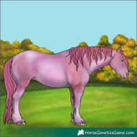 Horse Color:Watercolor Smoky Black Pearl 