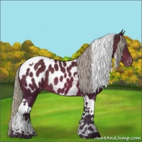 Horse Color:Silver Brown Tobiano Blanket Rabicano 