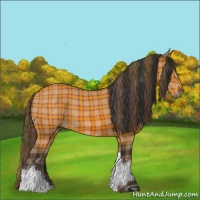 Horse Color:Plaid Brown Tobiano Rabicano