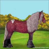 Horse Color:Silver Brown Tobiano Appaloosa 