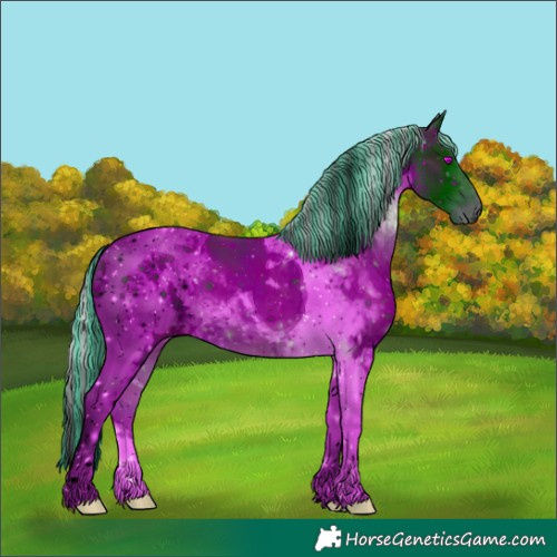 Horse Color:ERROR: UNKNOWN ANOMALY