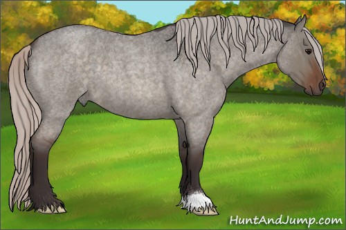 Horse Color:Silver Brown Roan Dun 
