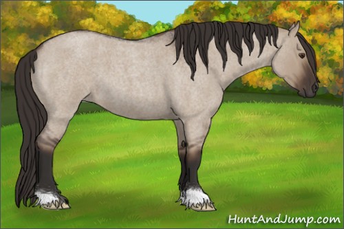 Horse Color:Liver Red Dun Roan 