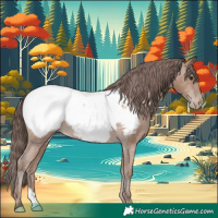 Horse Color:Classic Champagne Appaloosa Rabicano 