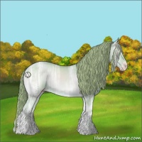 Horse Color:Watercolor White Spotted Gold Champagne Ice Onyx Sabino Rabicano 