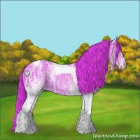 Horse Color:Watercolor White Spotted Liver Chestnut Ice Tobiano Rabicano 