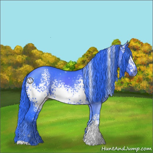Horse Color:Watercolor White Spotted Black Rabicano 