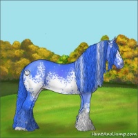 Horse Color:Watercolor White Spotted Black Rabicano 