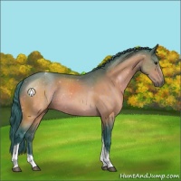 Horse Color:Watercolor Brown Tobiano Rabicano 