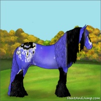 Horse Color:Watercolor White Spotted Smoky Black Tobiano Appaloosa Rabicano 