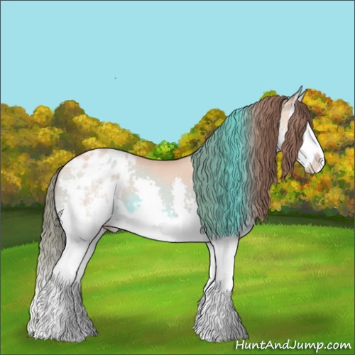 Horse Color:Sable Champagne Splash Appaloosa 