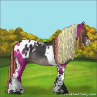 Horse Color:Painted Black Sabino Tobiano Appaloosa 