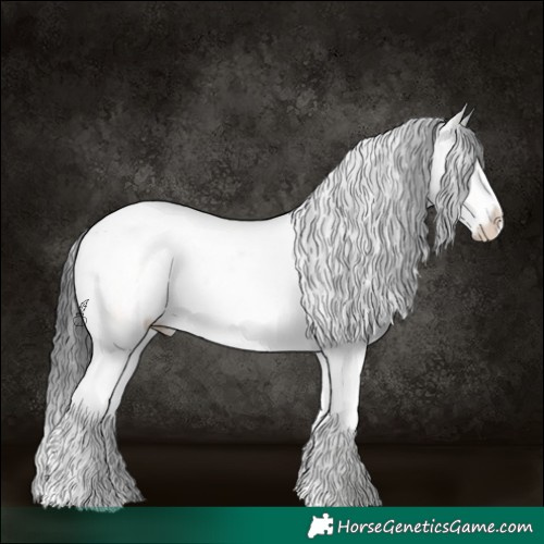 Horse Color:Black Ice Sabino Tobiano Appaloosa Rabicano 