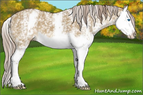 Horse Color:White Spotted Chocolate Palomino Dun Splash 
