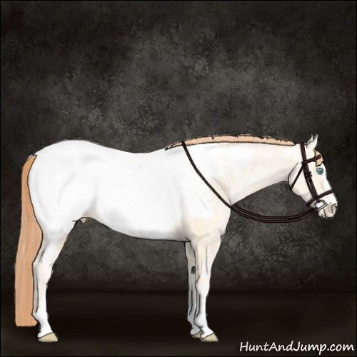 Horse Color:Amber Cream Champagne Ice Pearl Sabino Appaloosa 