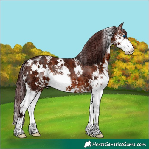 Horse Color:White Spotted Chocolate Brown Ice Splash 