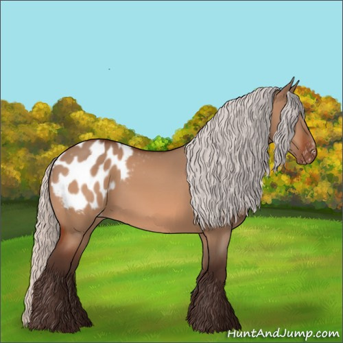 Horse Color:Silver Brown Dun Appaloosa 