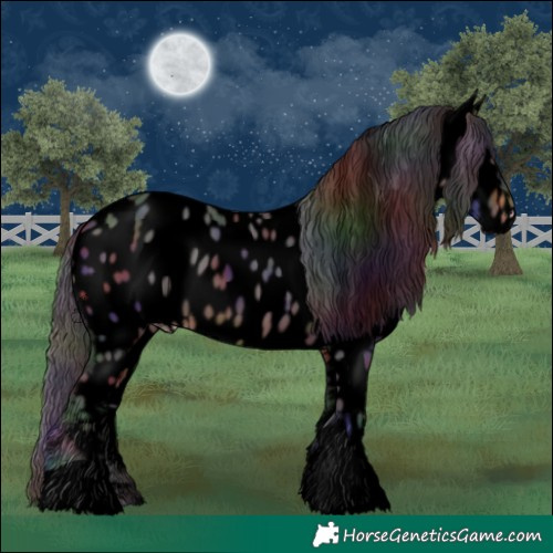 Horse Color:Void Nacre Brown Appaloosa 