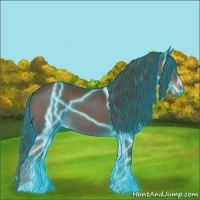Horse Color:Thunderstruck Liver Chestnut 