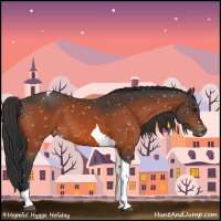Horse Color:Bay Tobiano Appaloosa 