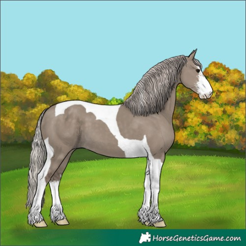Horse Color:White Spotted Silver Grullo Tobiano 