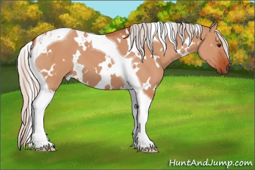 Horse Color:White Spotted Silver Brown Dun Tobiano 
