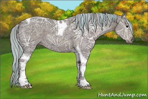 Horse Color:Painted Silver Black Ice Sabino Tobiano 