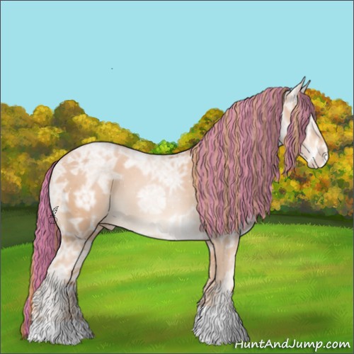 Horse Color:Painted Gold Champagne Ice Appaloosa 