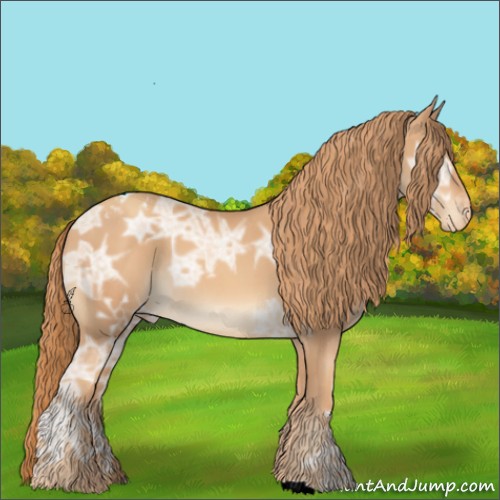 Horse Color:Gold Champagne Ice Appaloosa Rabicano 