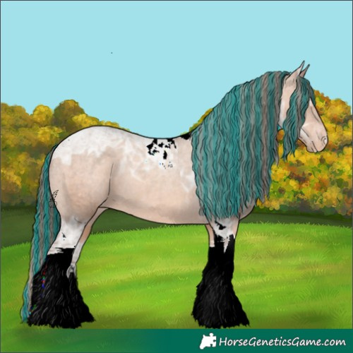Horse Color:Painted Amber Champagne Ice Tobiano Appaloosa Rabicano 