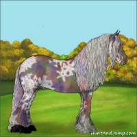 Horse Color:Nacre Silver Black Ice Rabicano 