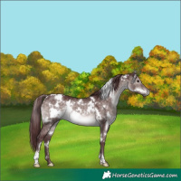 Horse Color:Platinum White Spotted Chocolate Brown Dun 