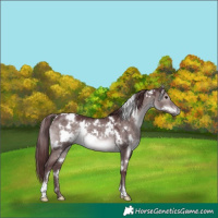 Horse Color:Platinum White Spotted Chocolate Brown Dun 