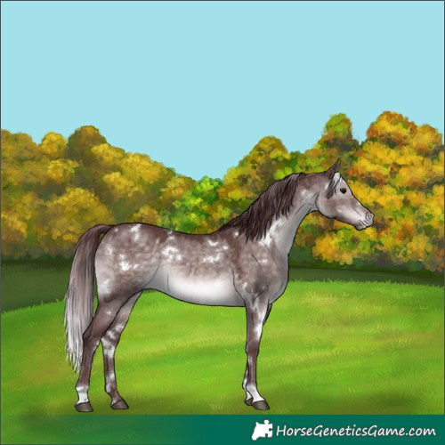 Horse Color:Platinum White Spotted Chocolate Brown Dun