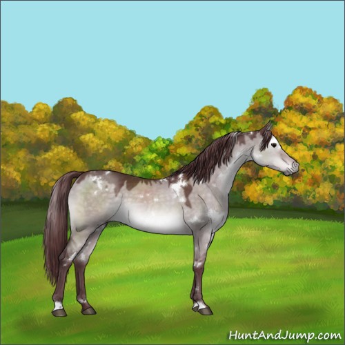 Horse Color:Platinum White Spotted Chocolate Brown Dun 
