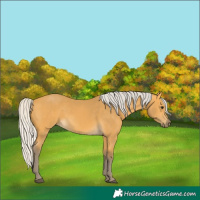 Horse Color:Silver Buckskin 