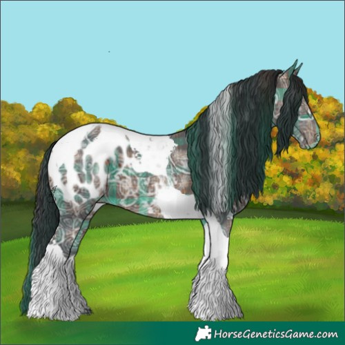 Horse Color:Plaid  Bay Ice Tobiano Appaloosa 